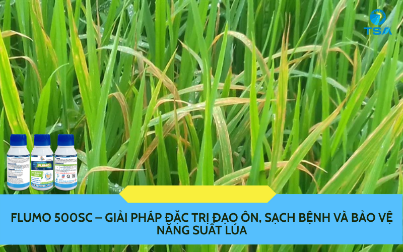FLUMO 500SC