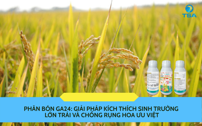 Phân bón GA24