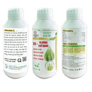 GA20 TS-TO ĐỒNG TRỔ THOÁT