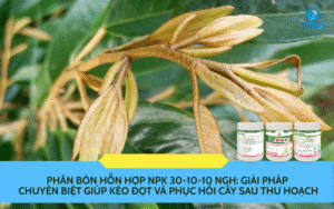 Phân bón hỗn hợp NPK 30-10-10 NGH