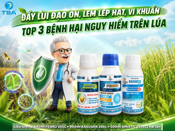 Lịch phun phòng lem lép hạt giai đoạn trổ